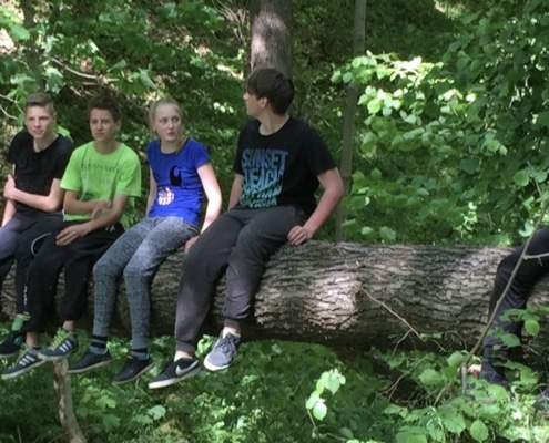 Jugendgruppe auf umgefallenem Baum