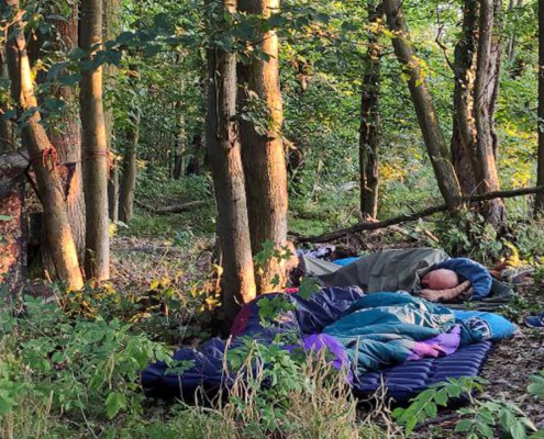 Schlafende Gruppe im Wald